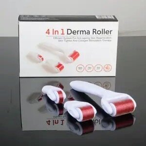 Derma Roller 4In1