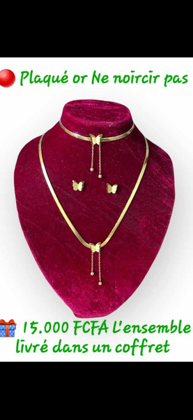 Ensemble Papillon 3 en 1