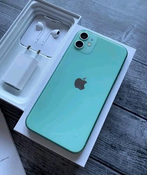 iPhone 11 Vert avec Accessories