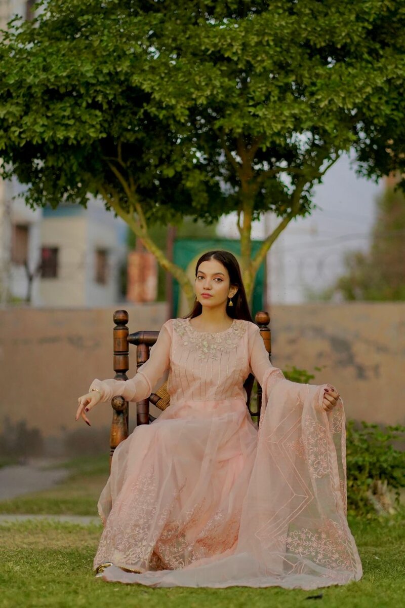 3 Pcs Stitched Embroidered Organza Maxi