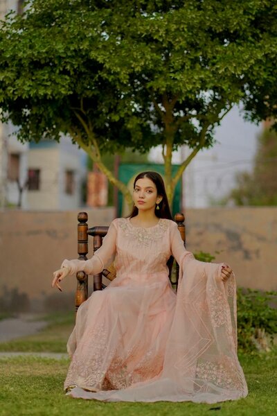 3 Pcs Stitched Embroidered Organza Maxi