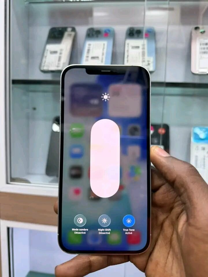 iPhone Pro Max blanc reconditionné