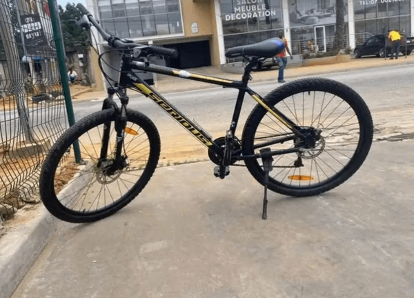 Vélo tout-terrain robuste