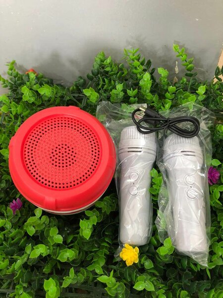 Ensemble karaoké portable Bluetooth