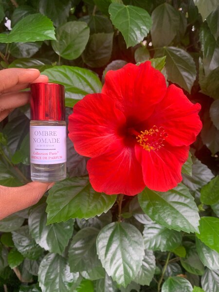 Essence de parfum sans mélange