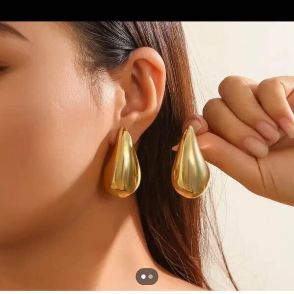 Ladies earrings