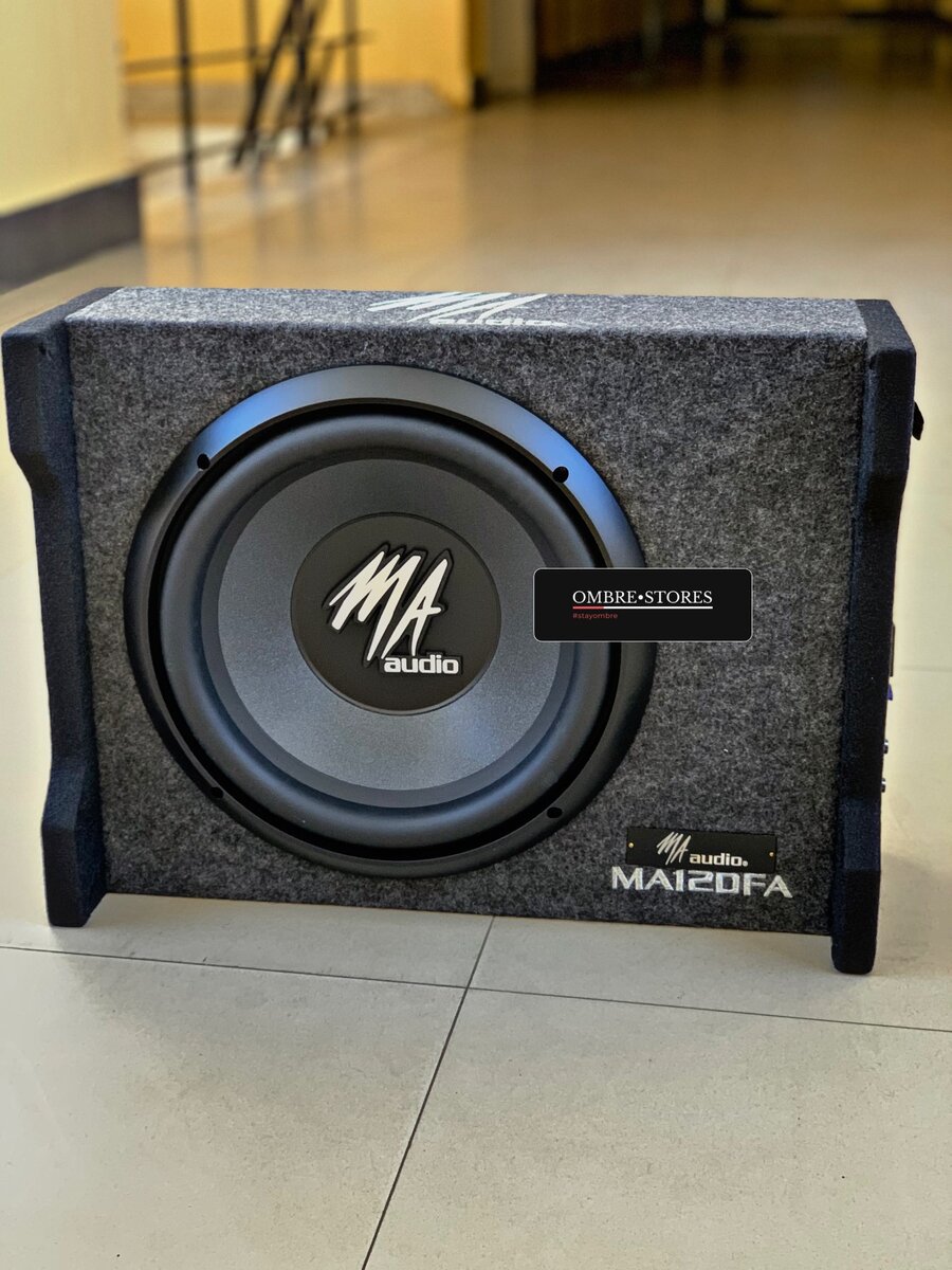 12 inch MA AUDIO Subwoofer