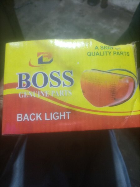 Back light
