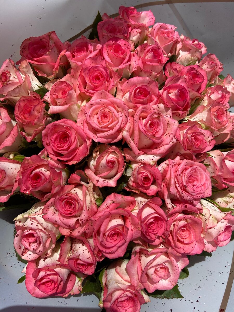 Roses for Valentines day
