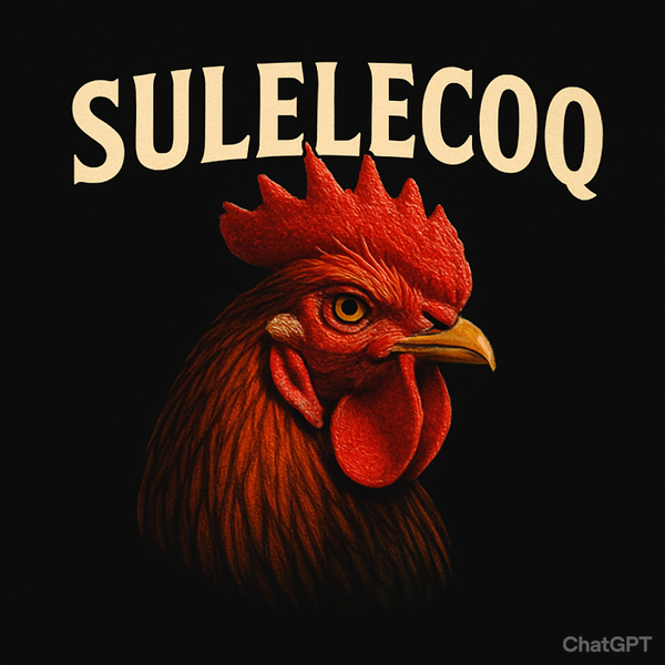 sulelecoq boutique 