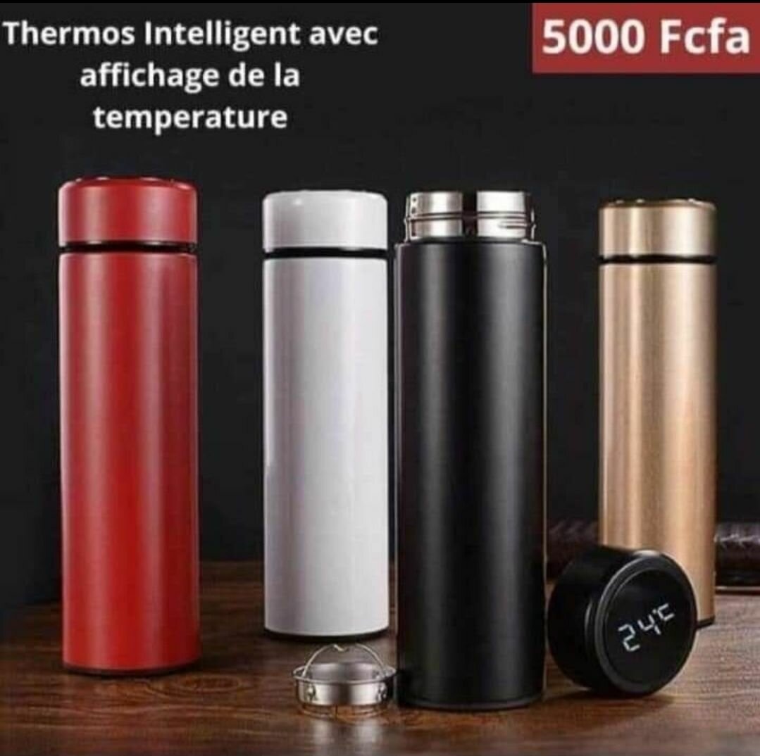 Thermos Intelligents Température
