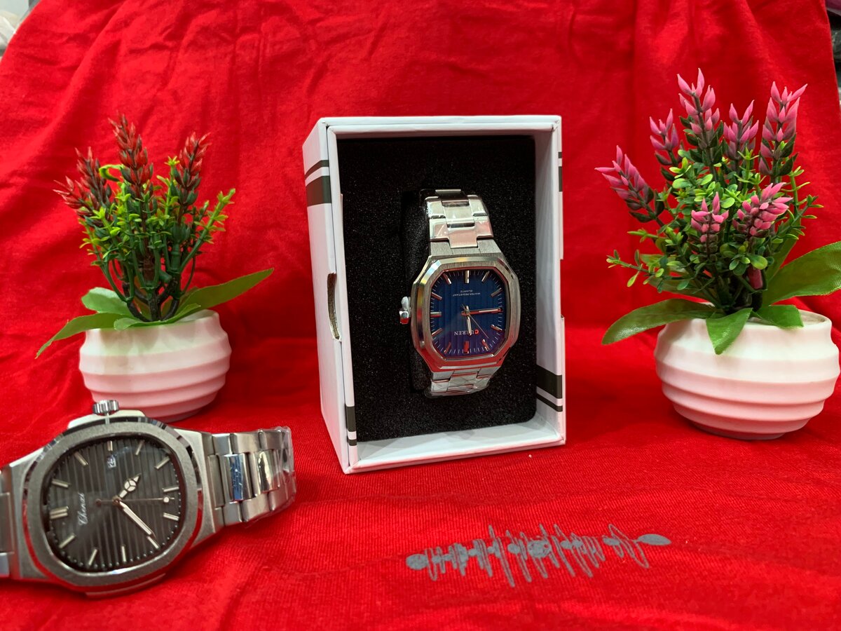 Montres élégantes pour hommes