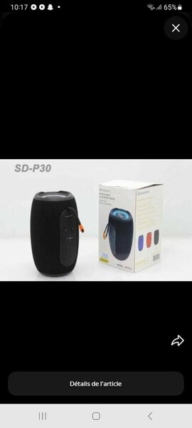 Enceinte Bluetooth Portable SD-P30