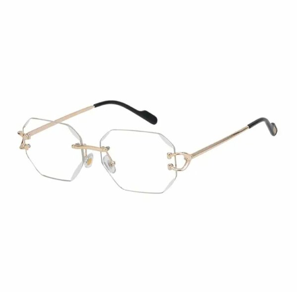 Lunettes octogonales élégantes