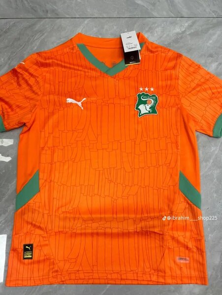 Maillot Côte d'Ivoire Puma