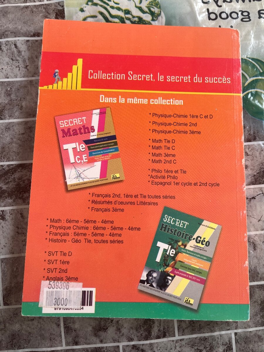 Guide Études Espagnol Tle