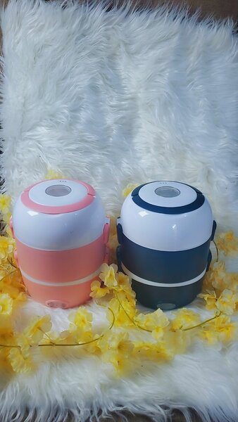 Lunch chauffantes électrique