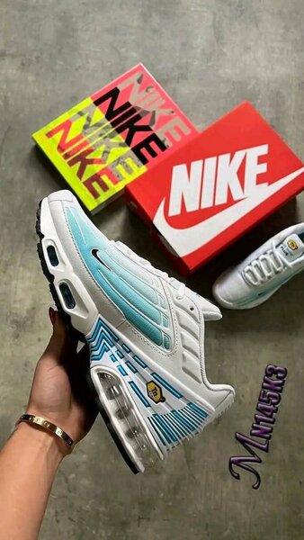 Baskets Nike Air Max élégantes