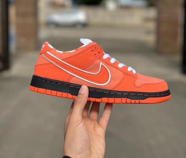 Nike SB.