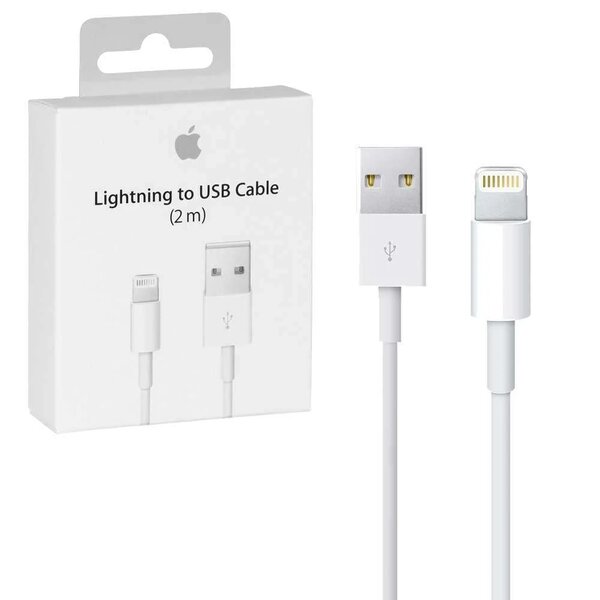 Lightning to USB Cable (1 m)