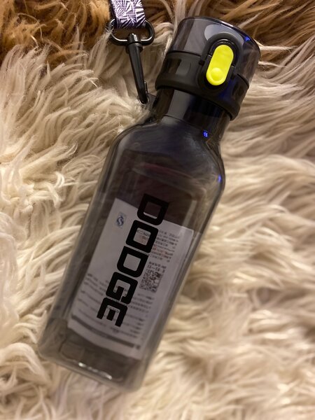 Bouteille d'eau Dodge 500ml