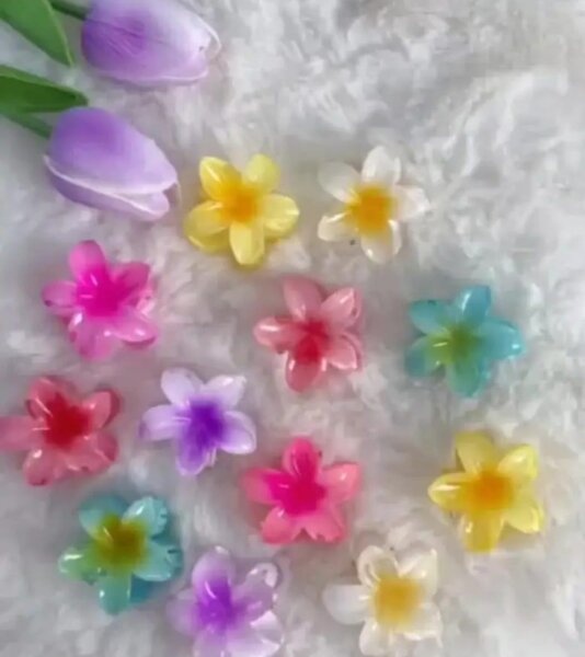 Flower Hair Clips Set