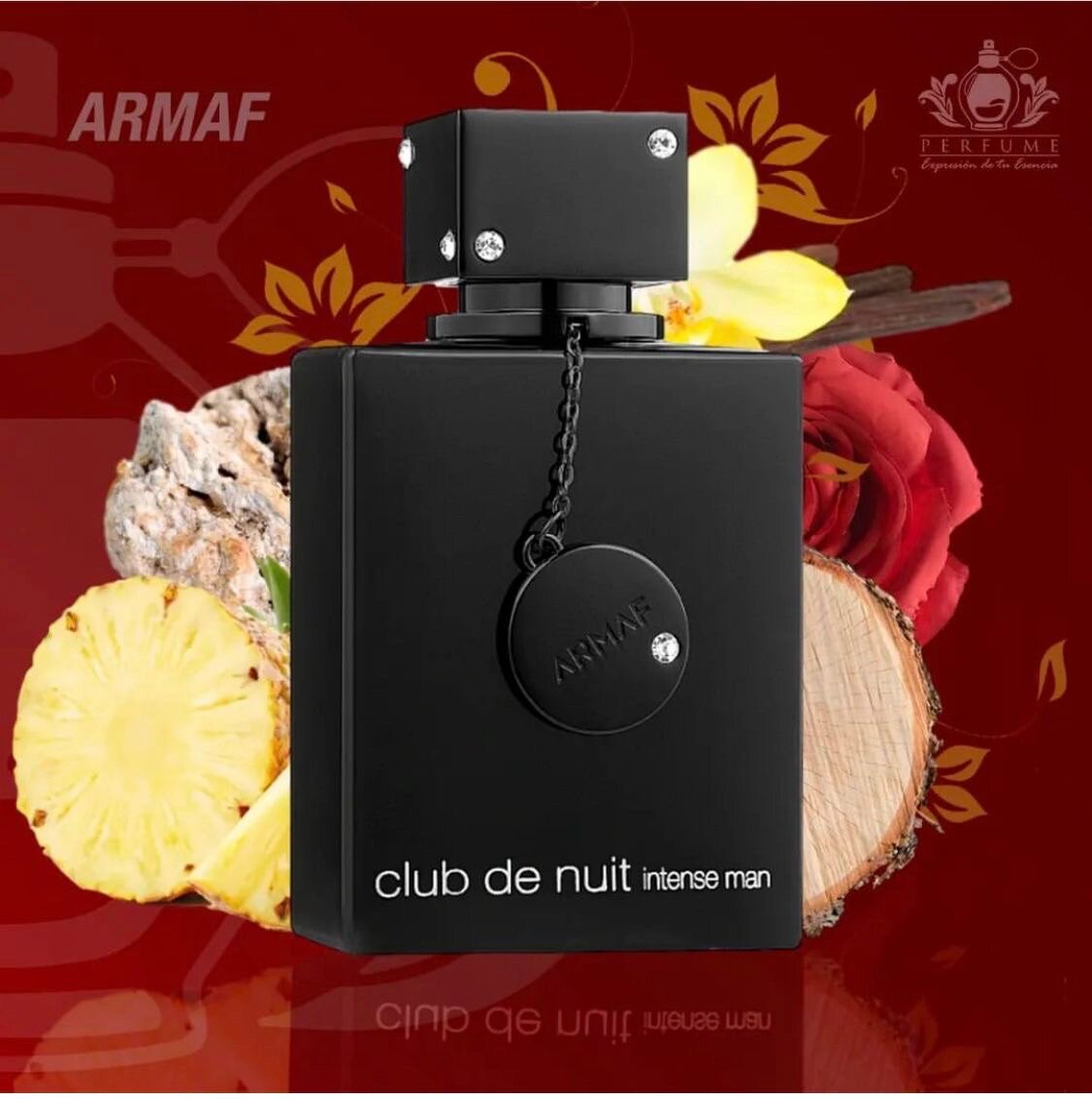 Club de nuit intense man