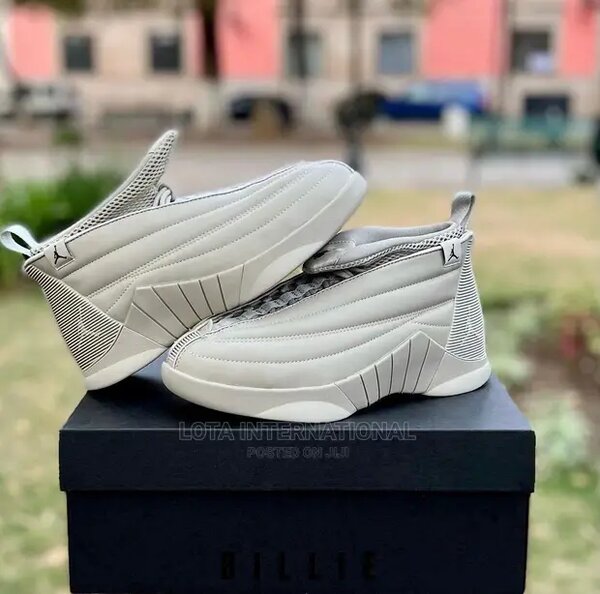Air jordan 15