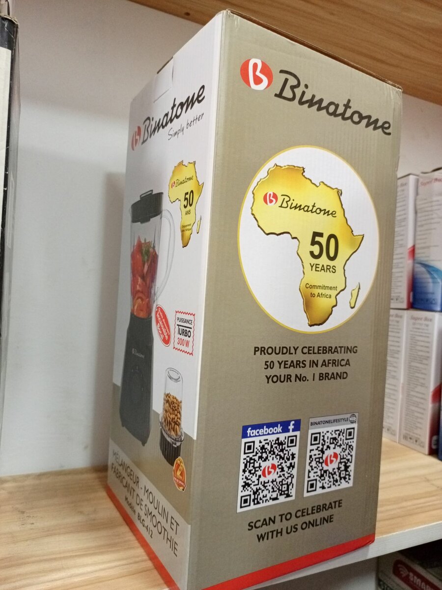 Mixer binatone modèle BLG_410