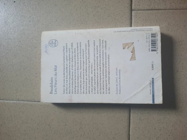 Les Fleurs du Mal - Baudelaire