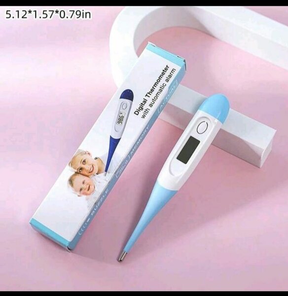 Thermomètre Digital Précis