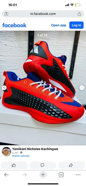 Sneakers rouges et bleus sport