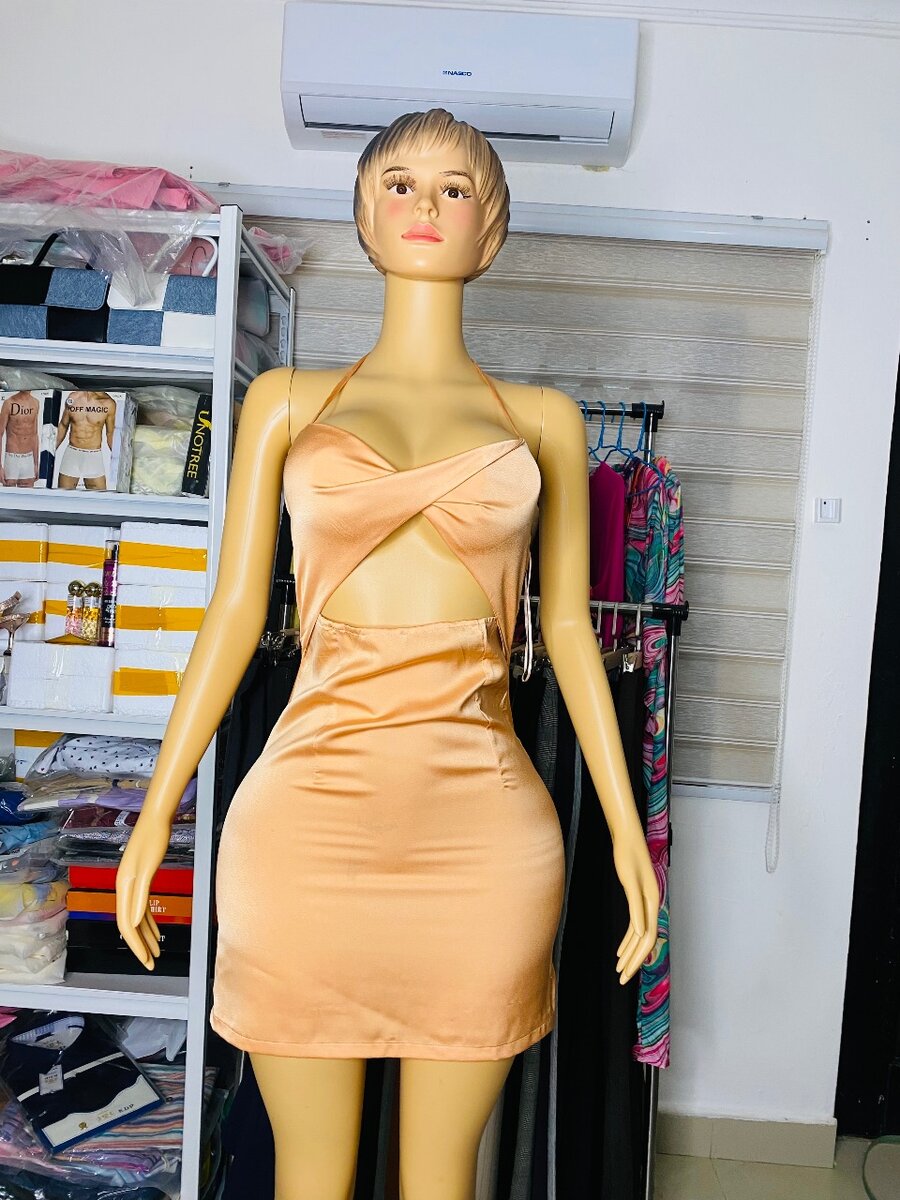 Ladies dress
