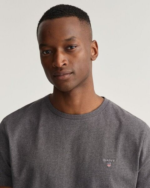 T-Shirt GANT Homme Gris