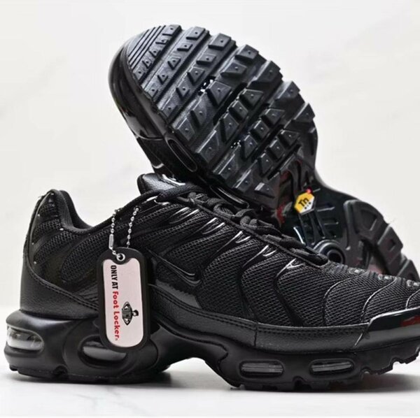 Nike Air Max Plus Noirs