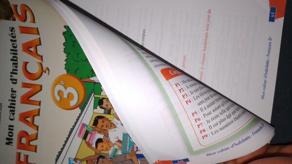 Cahier d'habiletés Français 3e