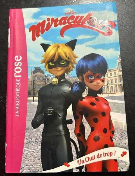 Livre Miraculous Ladybug