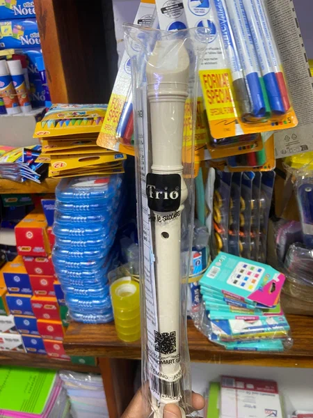 Flûte à bec scolaire