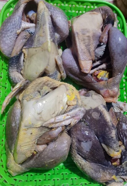 Pintades Fumées et fraîches