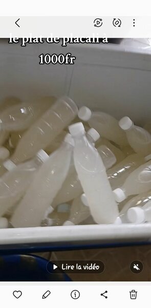 Bandji (vin de palme)