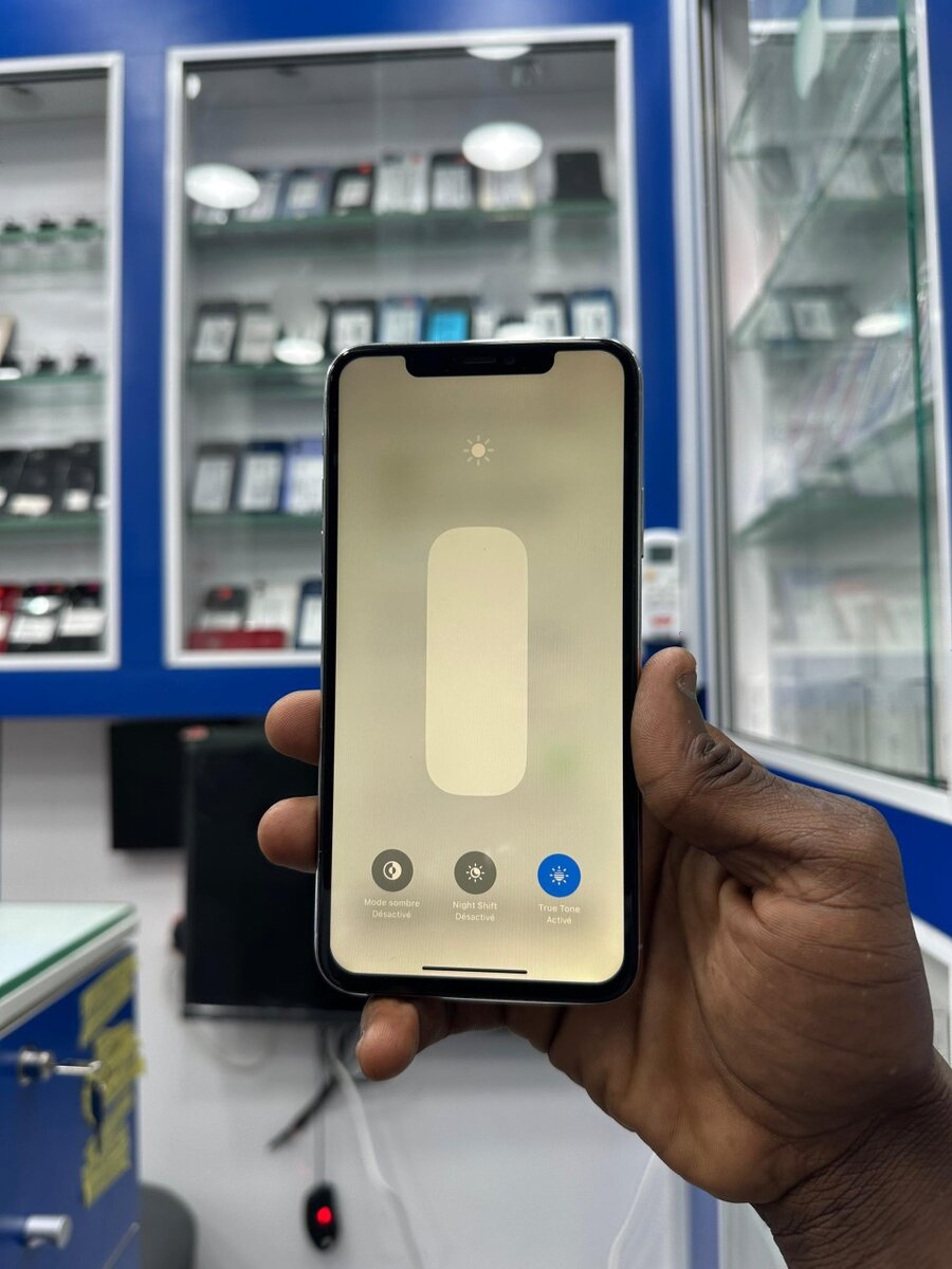 iPhone 11 Pro Max 256GB