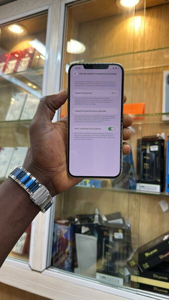 iPhone 12 Pro Max 256Go