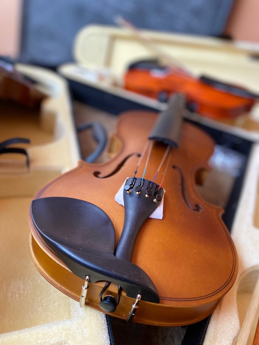 Violon