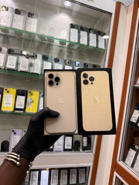 iPhone 13 Pro Max