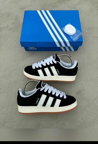 Adidas campus original