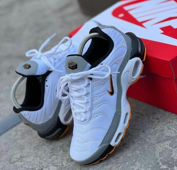 Baskets Nike Air Max blanches