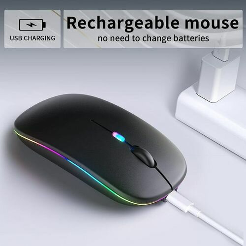 HP W10 Wireless,Bluetooth and Rechargeable Mouse