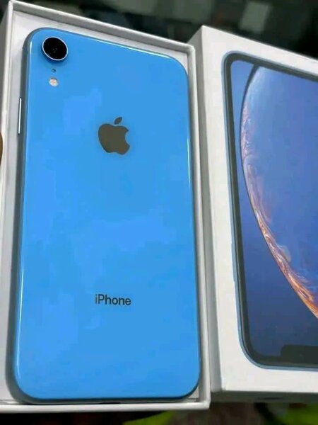 iPhone XR Bleu Neuf