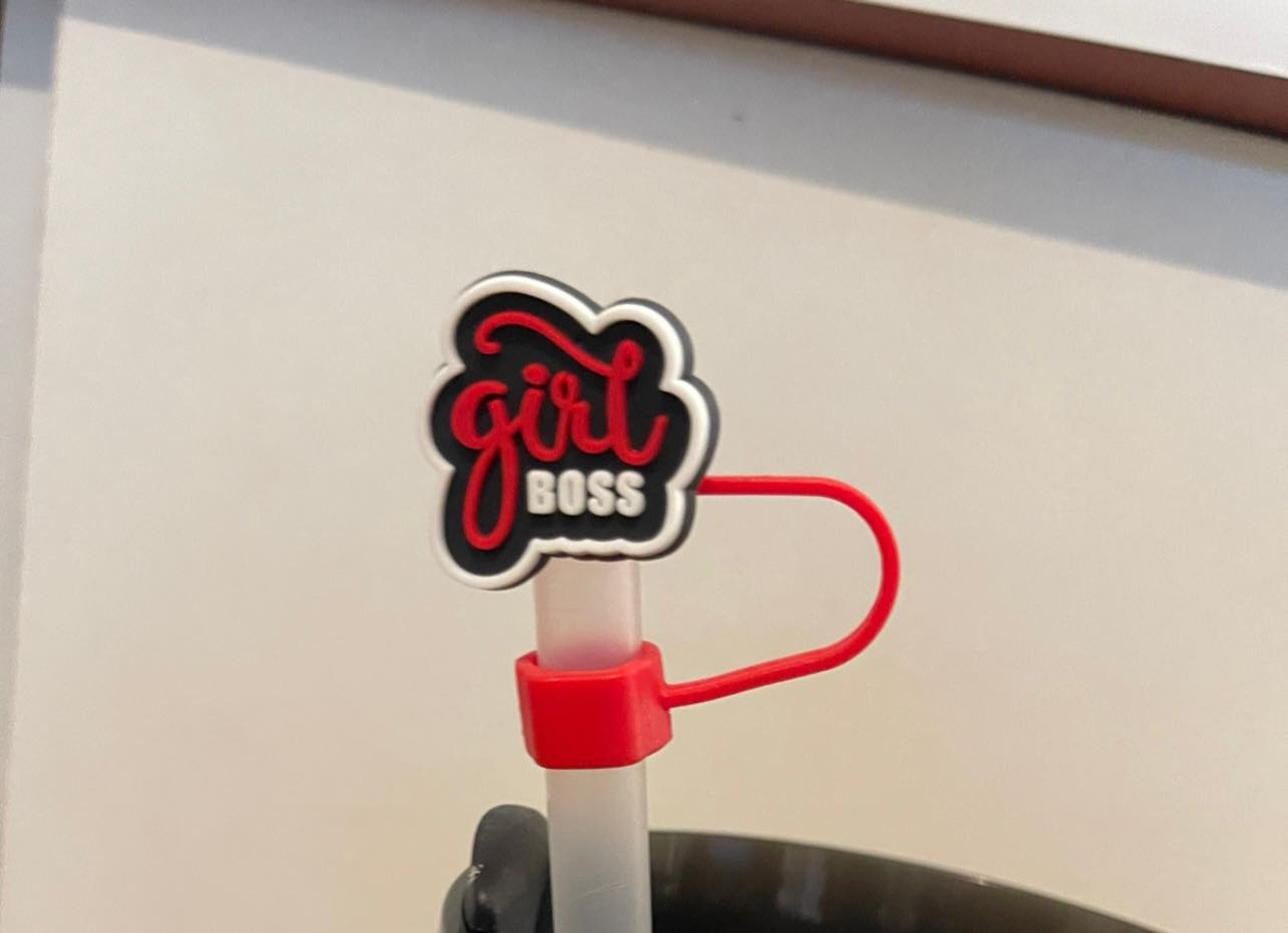 Fancy Stanley Straw Covers 