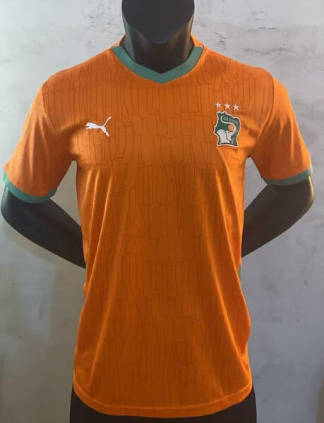 Maillot de football Puma
